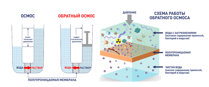 Схема обратного и прямого осмоса Схема обратного и прямого осмоса